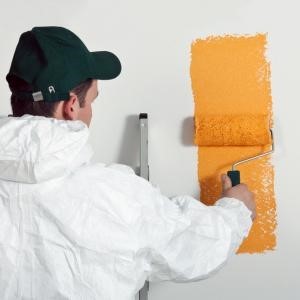 Peintre Styll'Services